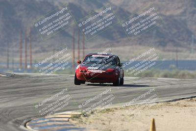 media/Oct-12-2025-Lucky Dog Racing (Sun) [[8adb5568ea]]/1-First Stint/4-Turns 9 and 8/